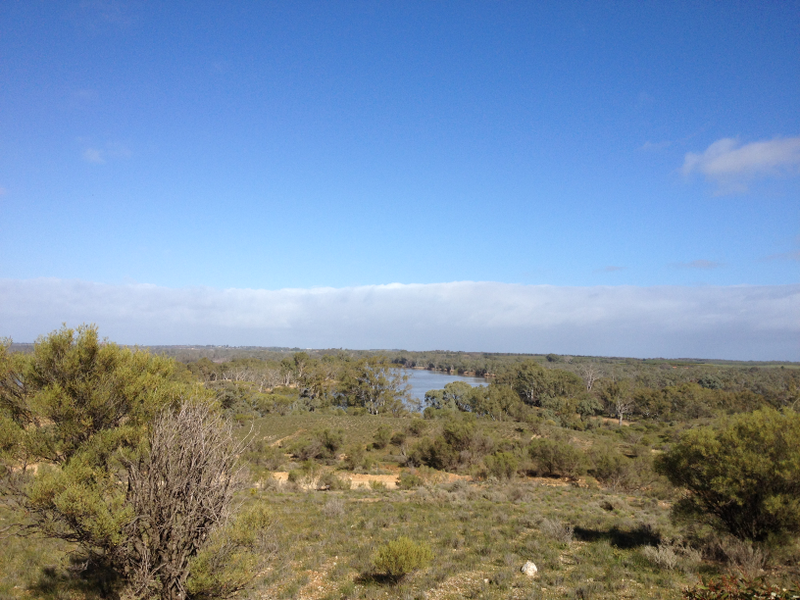 Illustration for article titled Roamin' the Riverland.